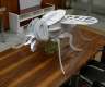 Riesiges 3D-Steckmodell einer Fliege (...